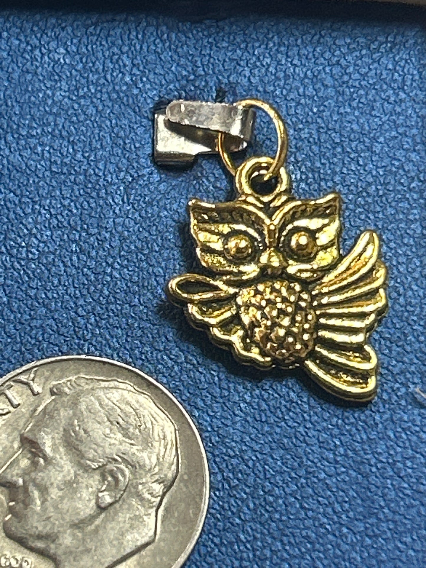 Charm (flying owl)