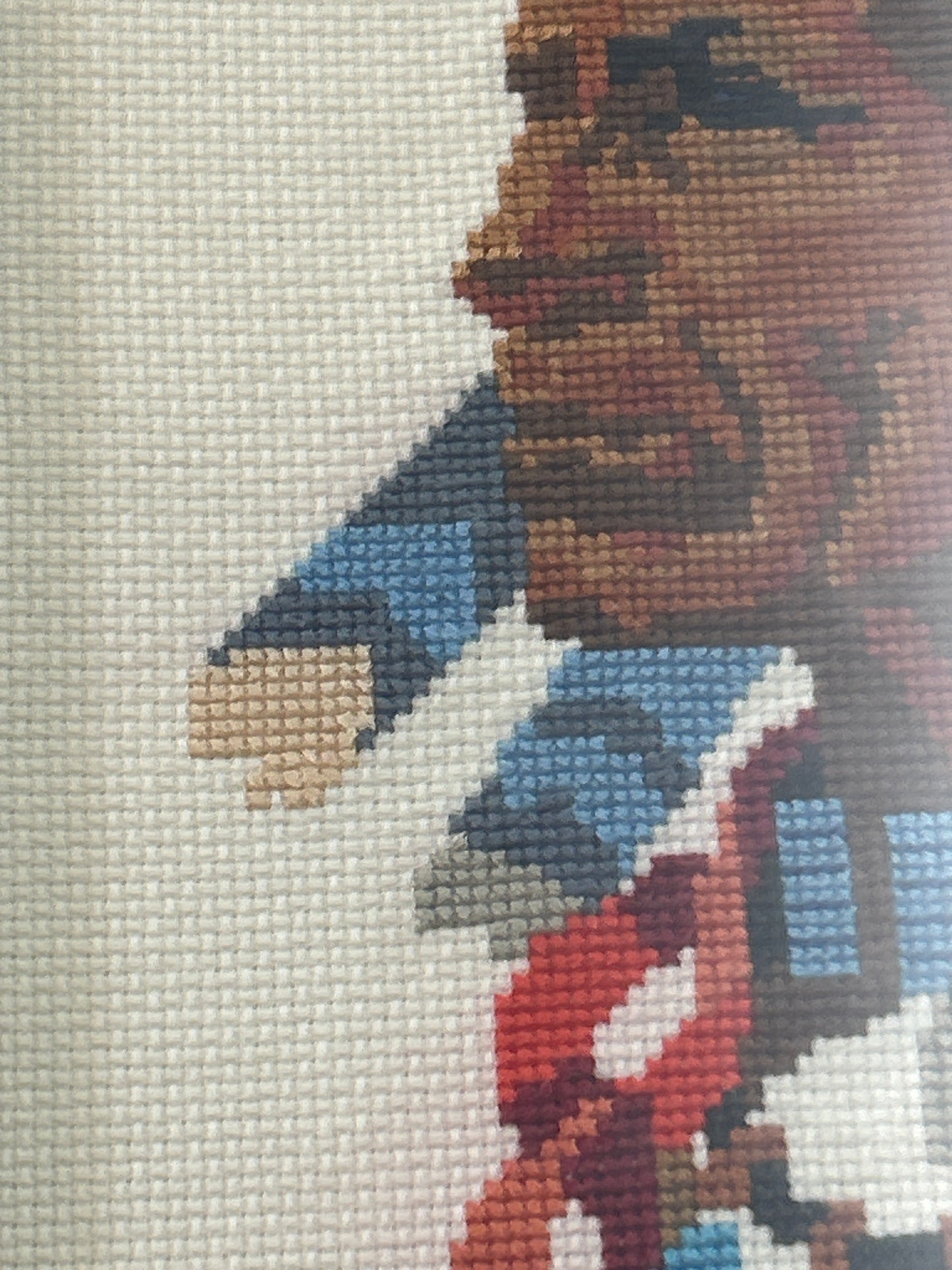 Vintage Retro Cross Stitch of Native American Indian Chief Framed (16 1/2 x 20 1/2)