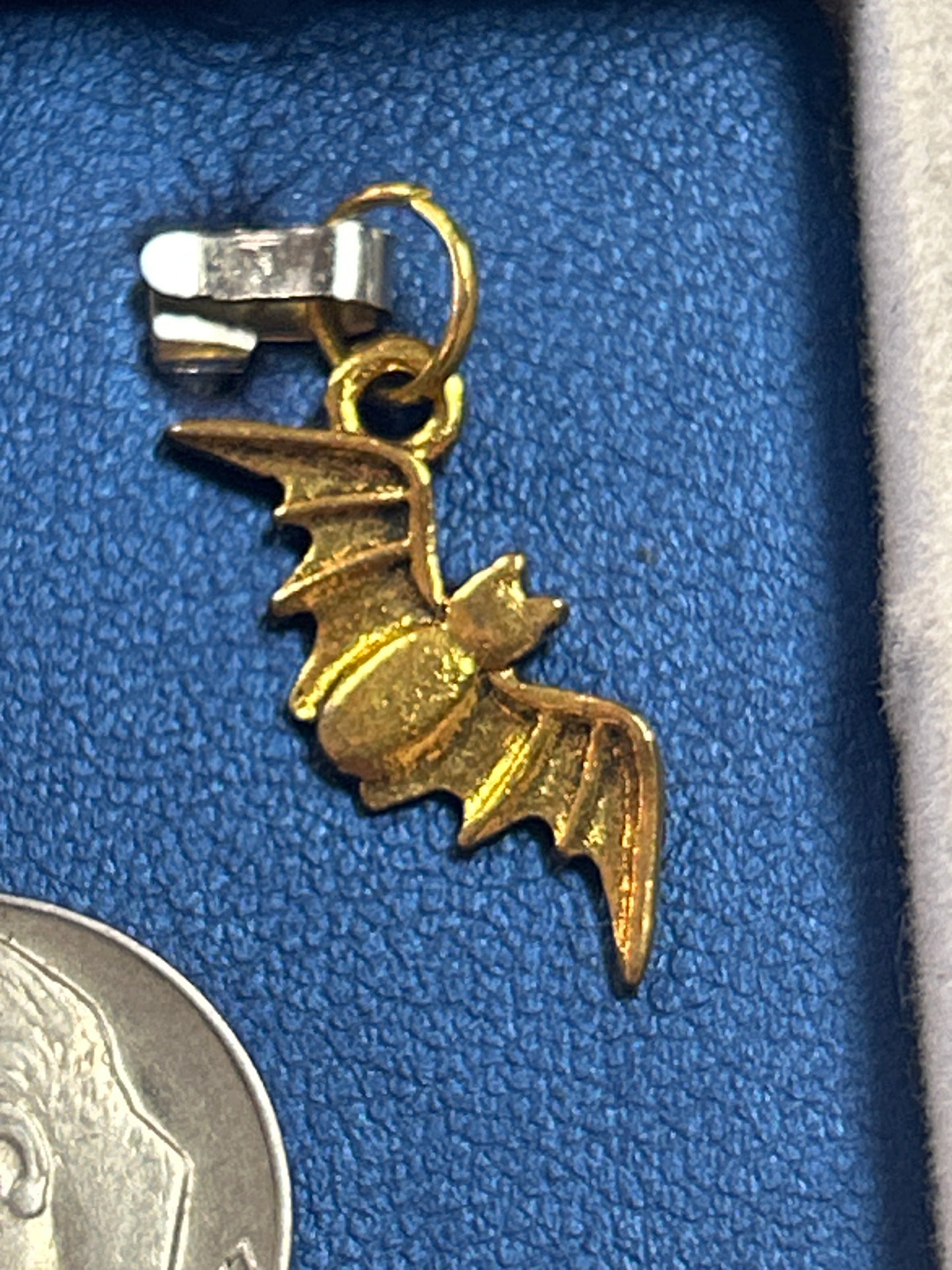 Charm (bat)