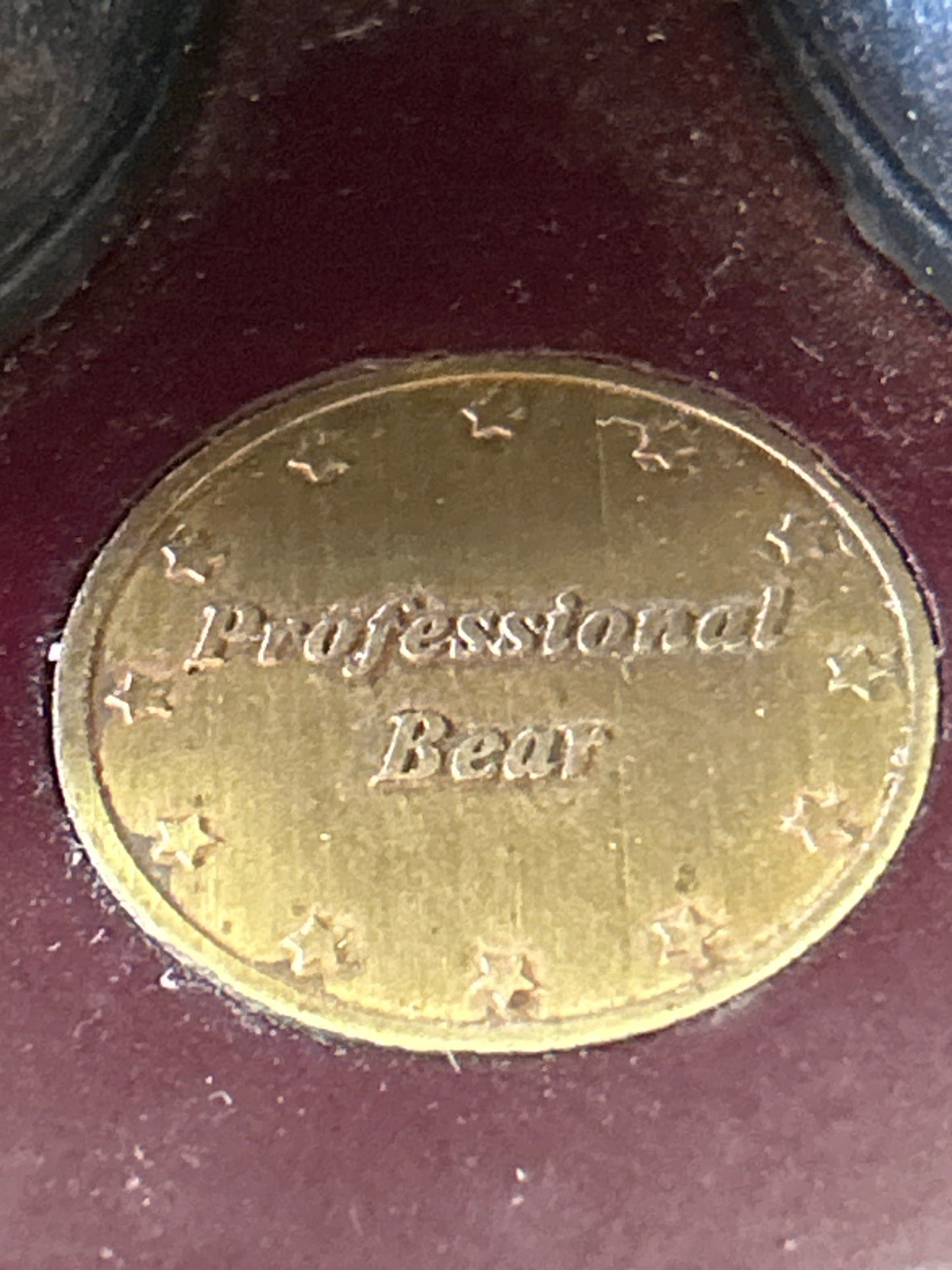 Proffessional Bear