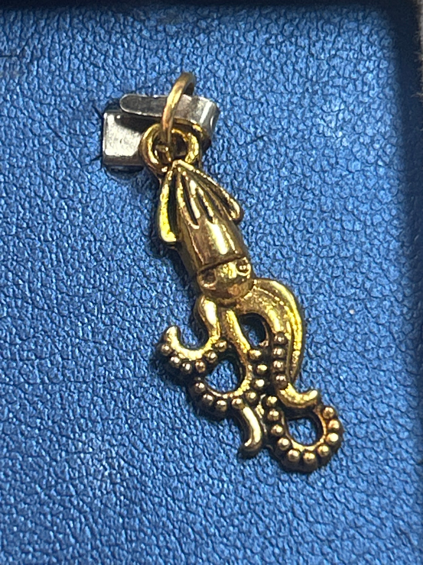 Charm (small squid)
