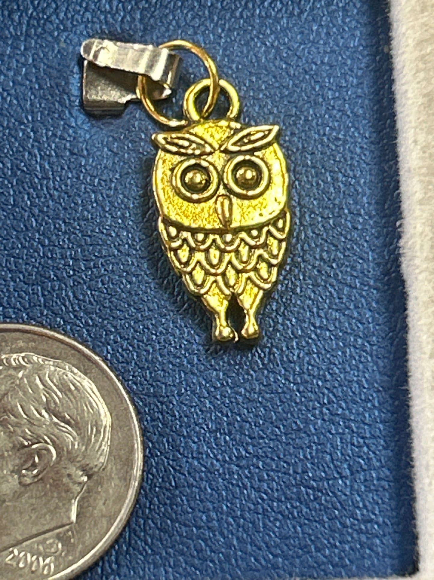 Charm (small owl)