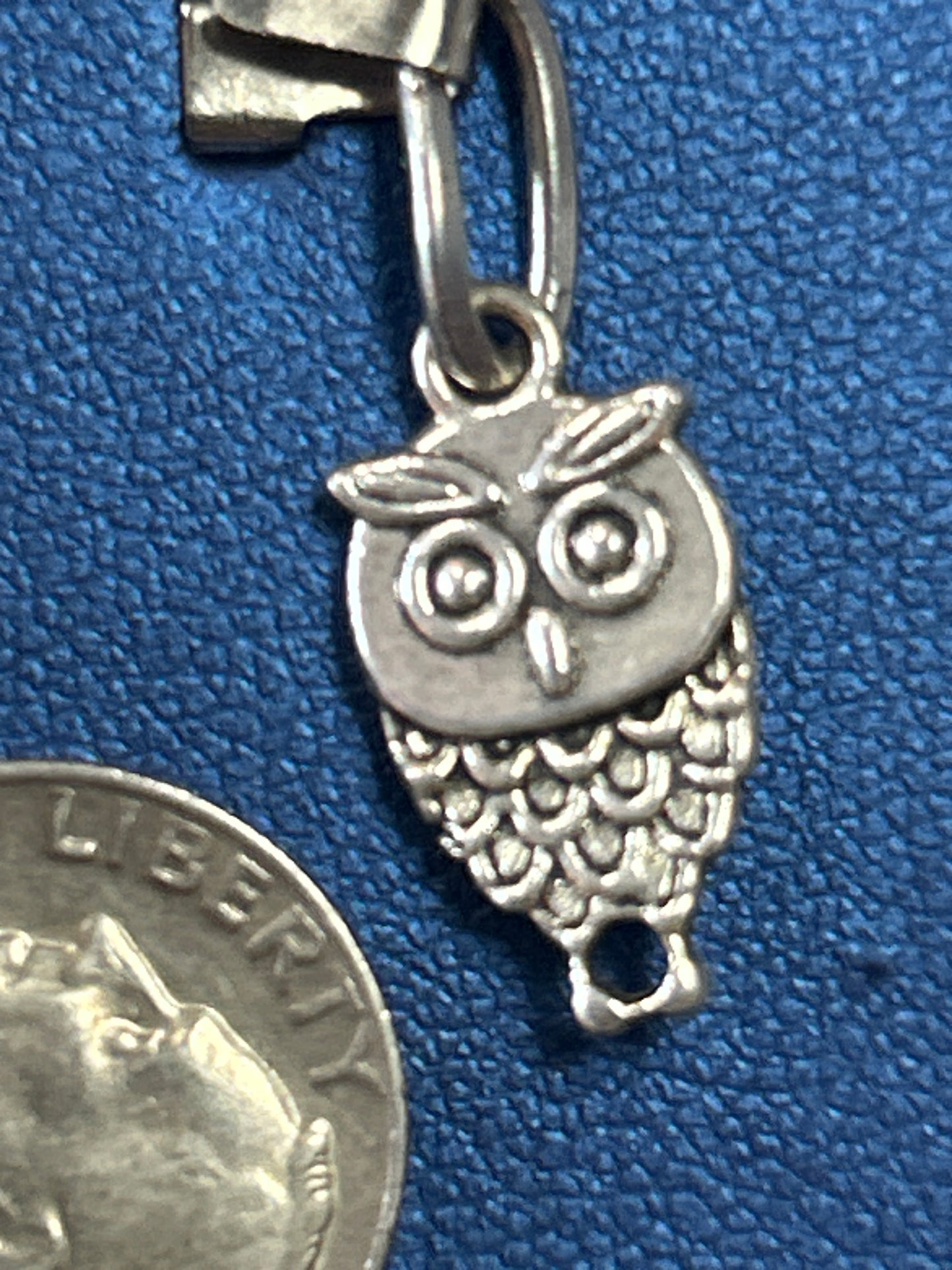 Charm (owl)