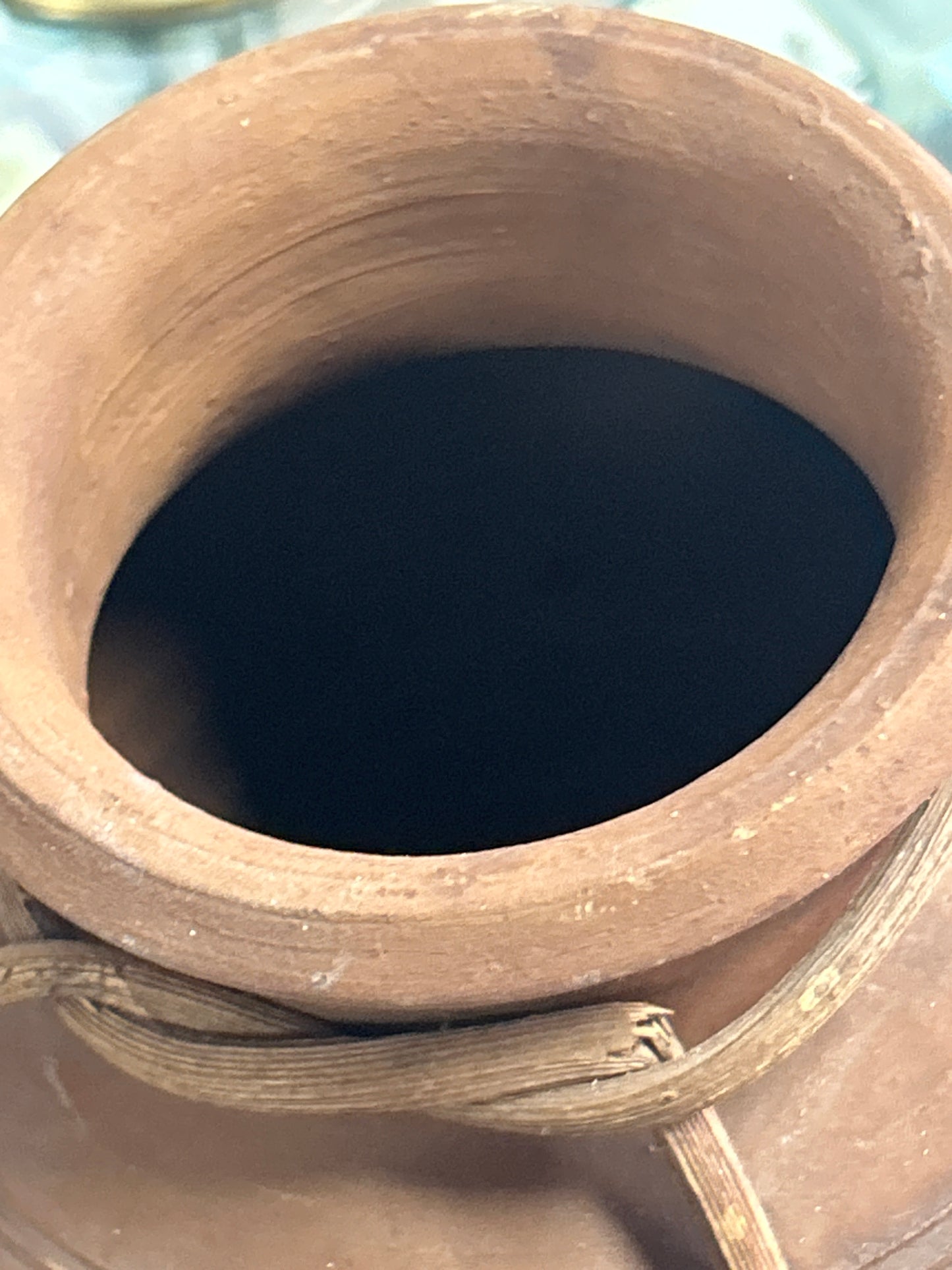 Vase with vines around base and neck