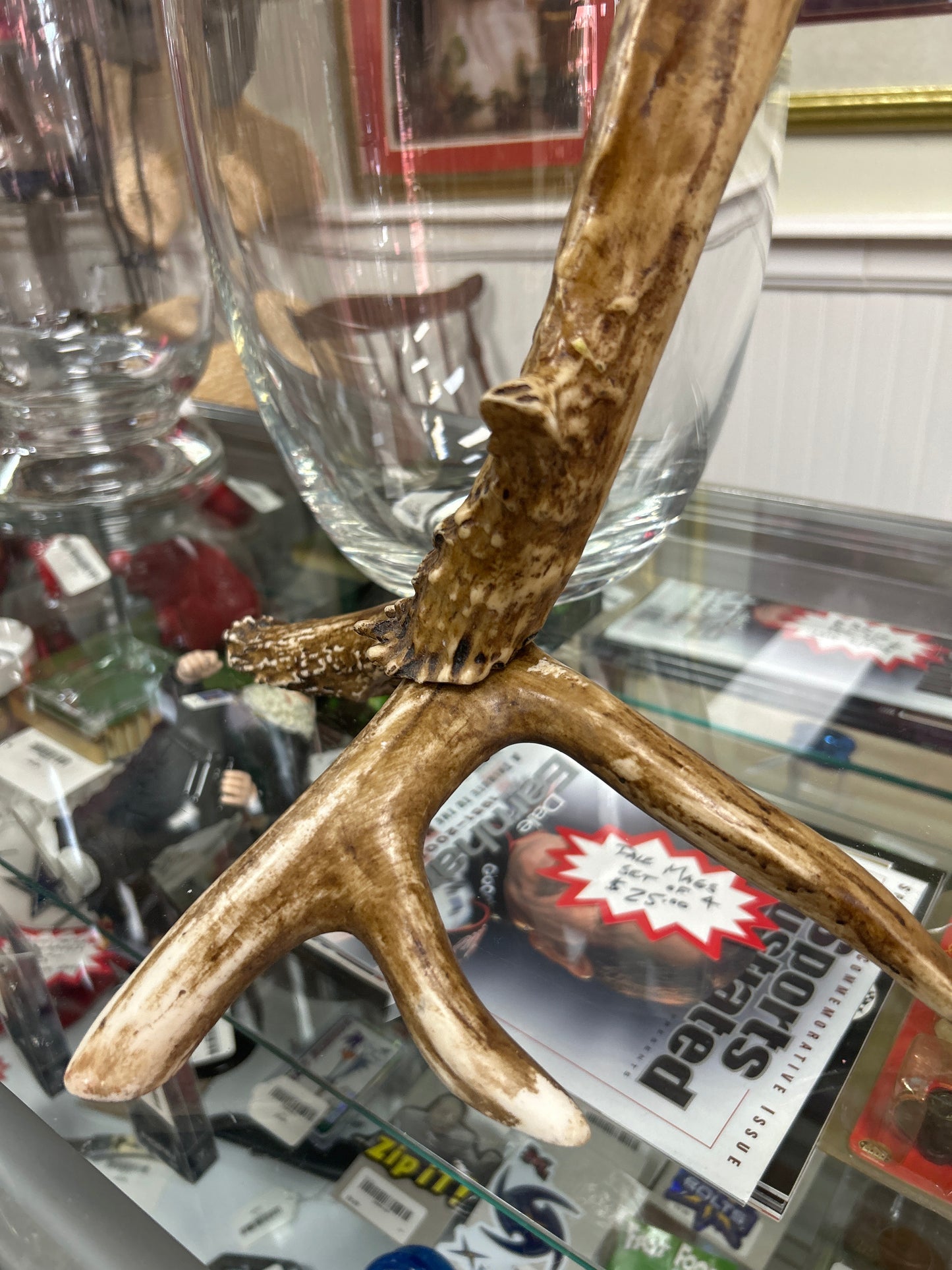Antler Stand for Displaying