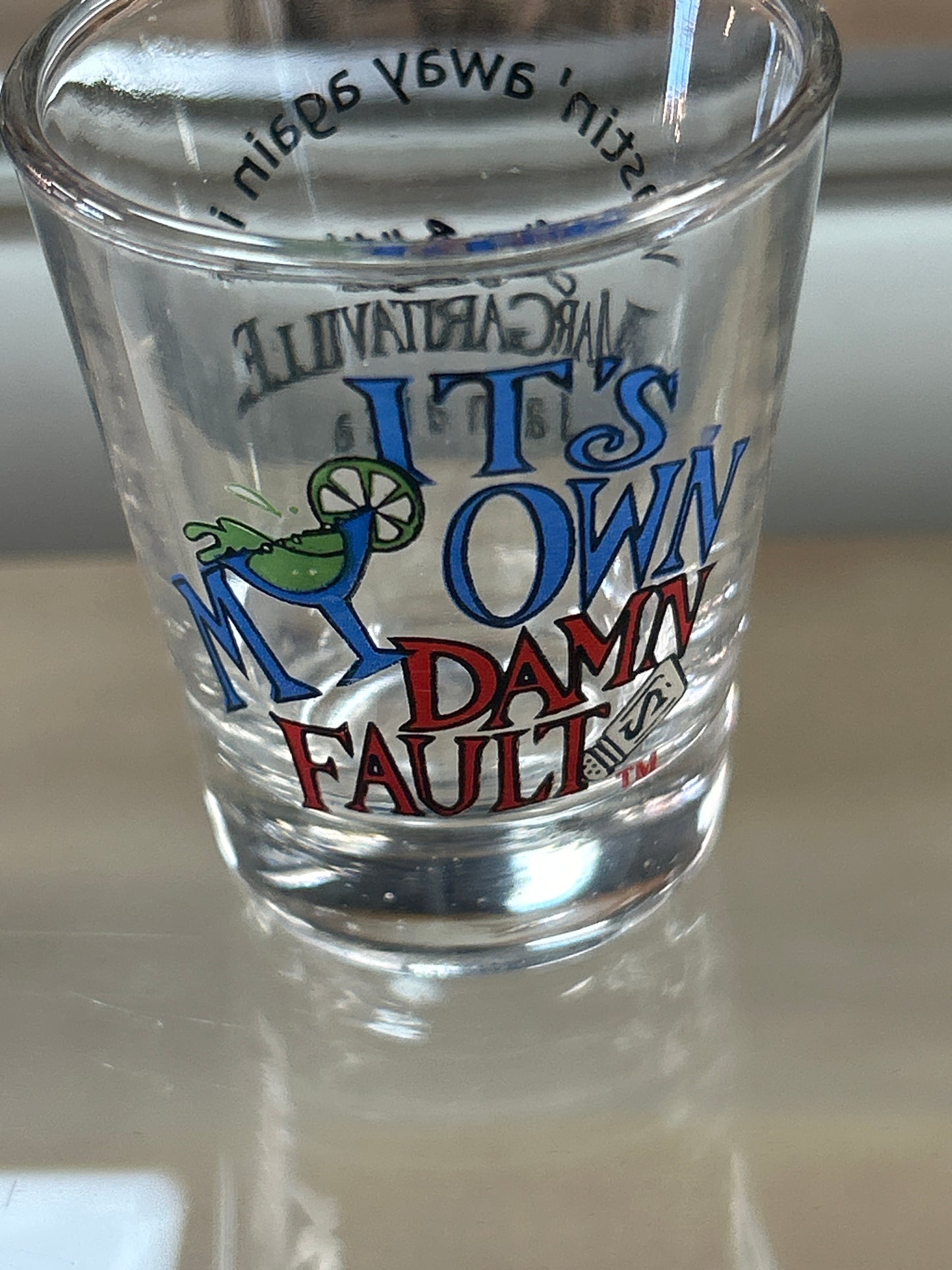 It’s my own damn fault shot glass