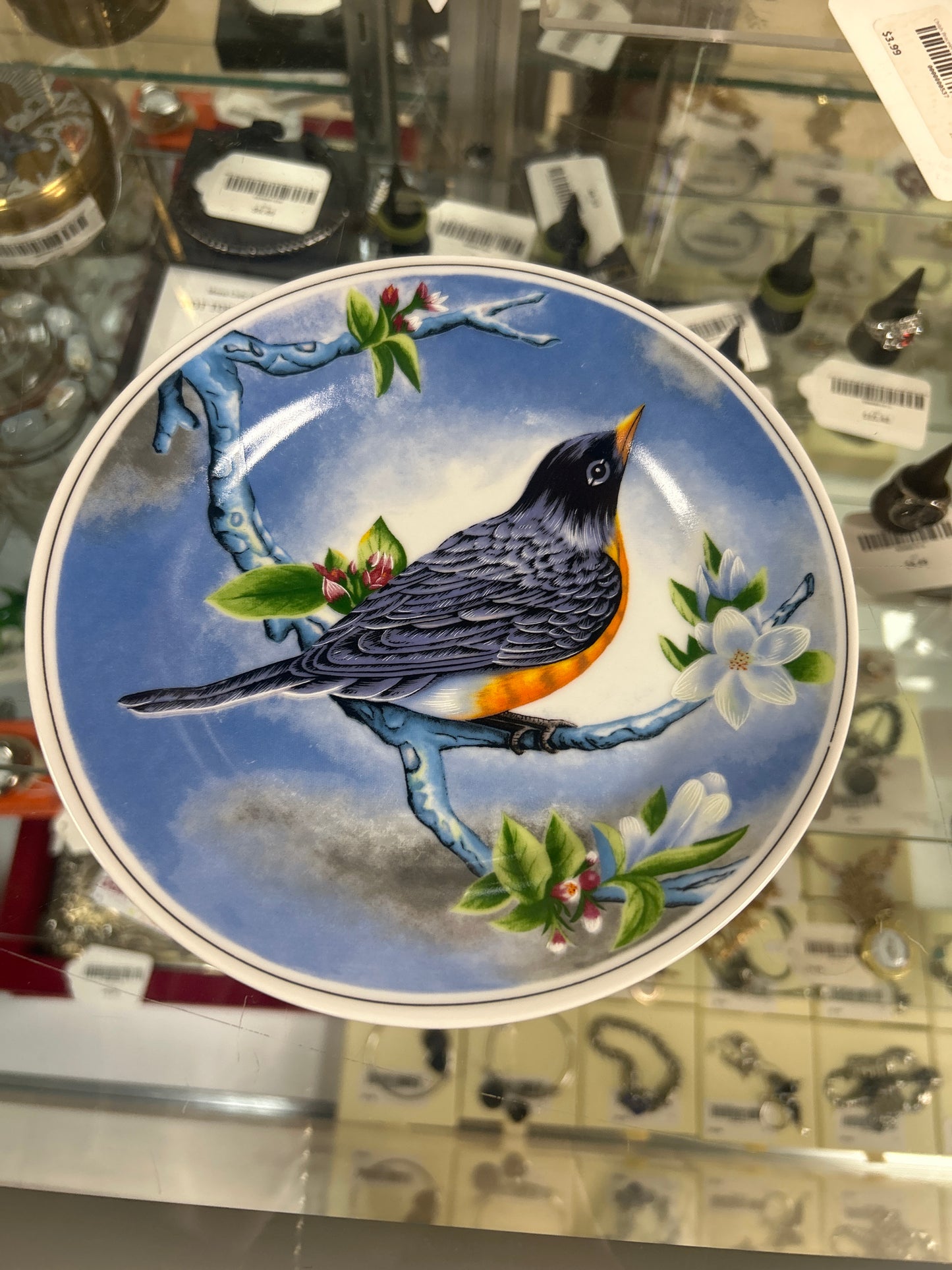 Robin Plate 7”