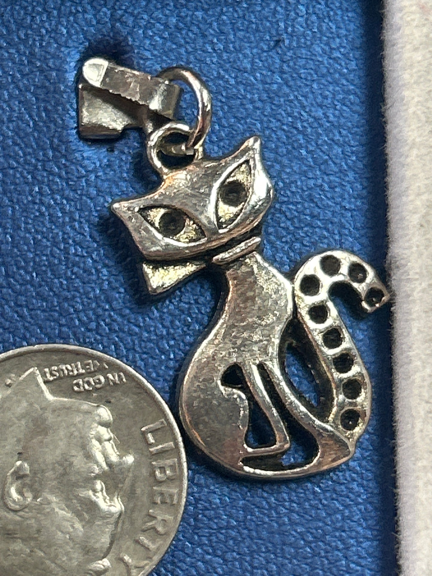 Charm (cat)