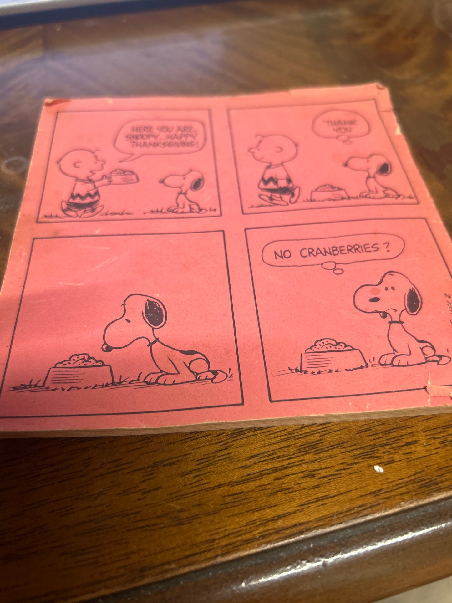 1970 Peanuts Lunch Bag Cook Book (rough shape)