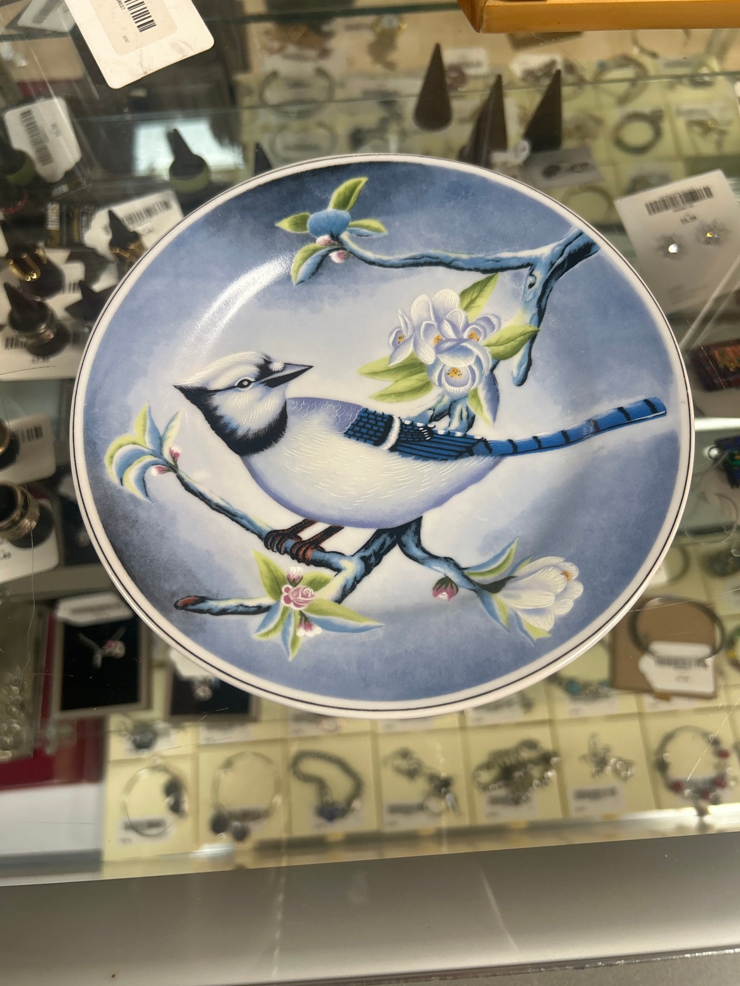 Blue Jay Plate 7”