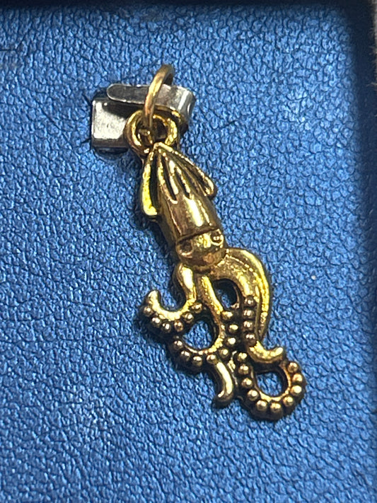 Charm (small squid)