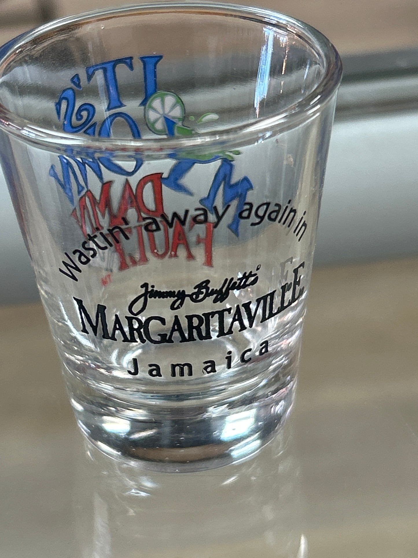 It’s my own damn fault shot glass