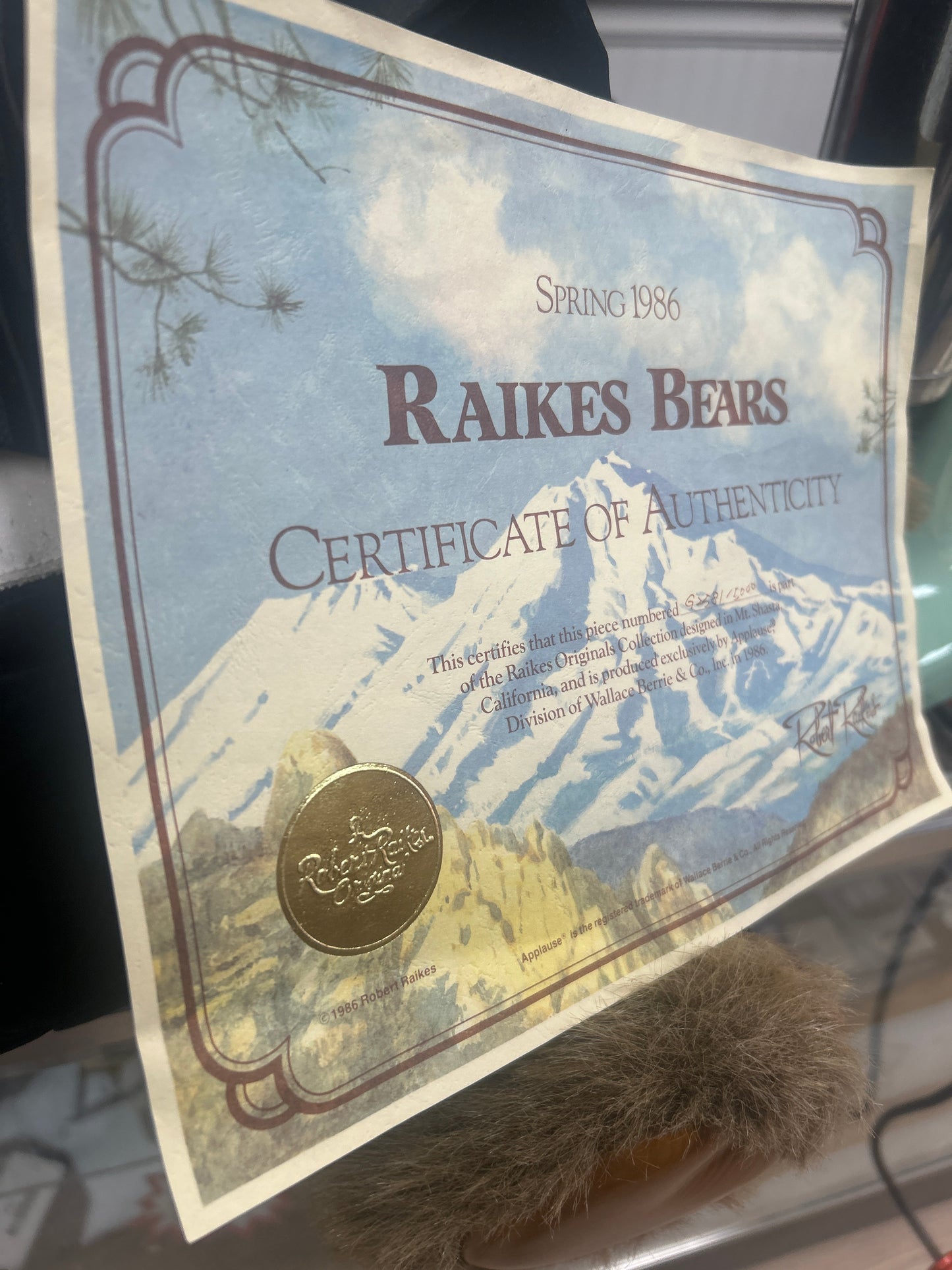 HUGE Robert Raikes Bear; Tyrone 36" Limited Edition Numbered Original COA 2581/5000