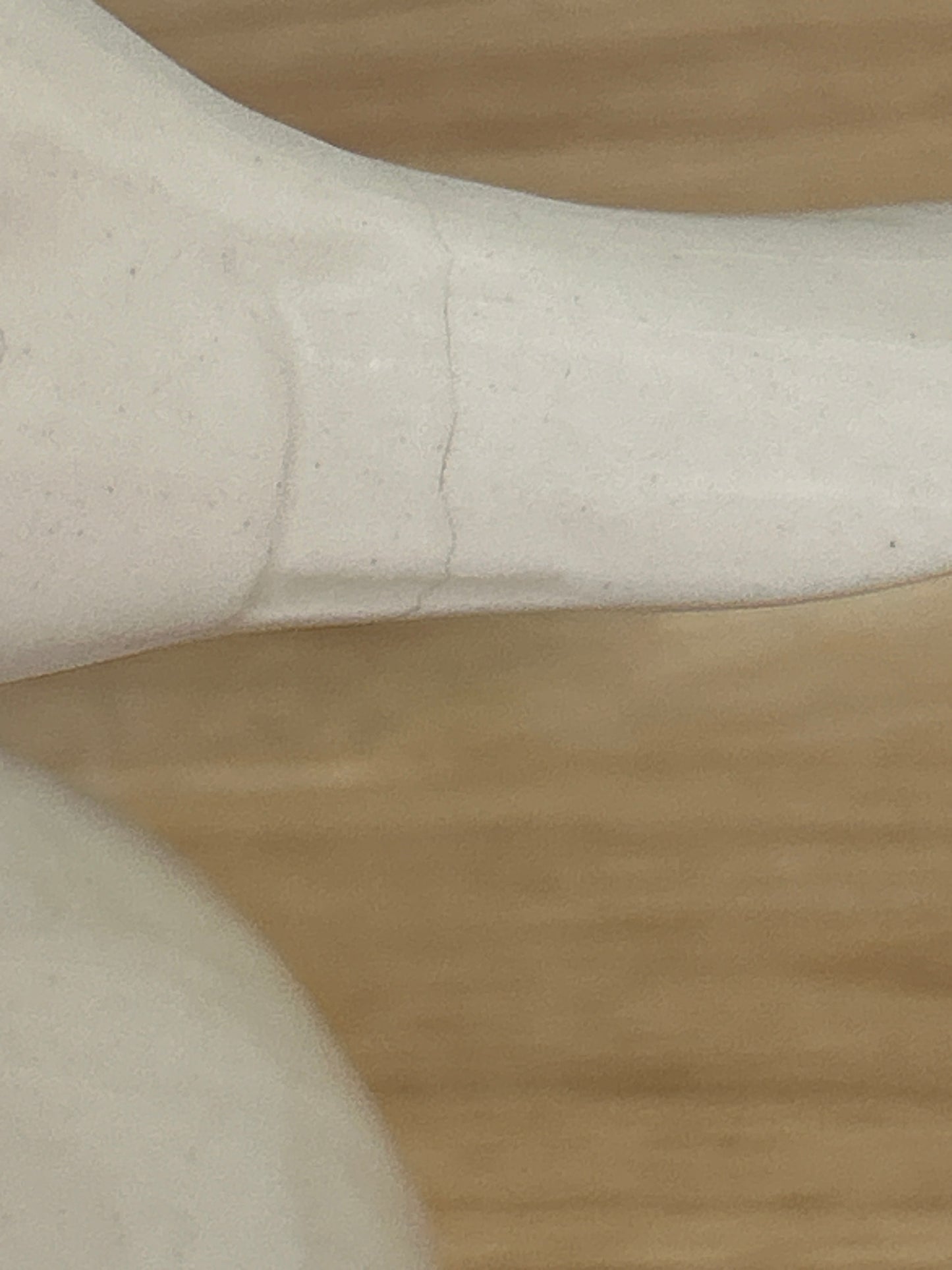 Duck Statue (repaired bill)