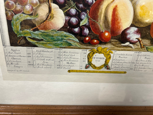 October, From Twelve Months Of Fruits, By Robert Furber