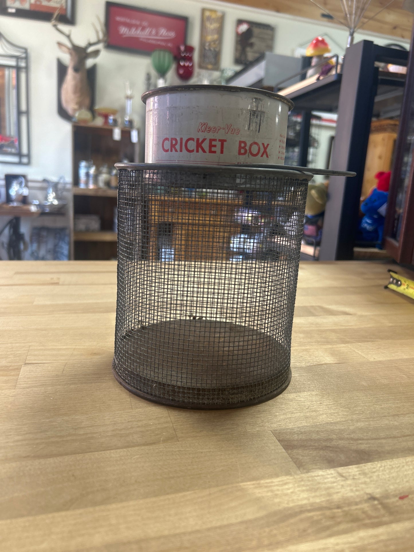 Vintage Kleer-Vue Cricket Bait Box Made in The USA Fishing