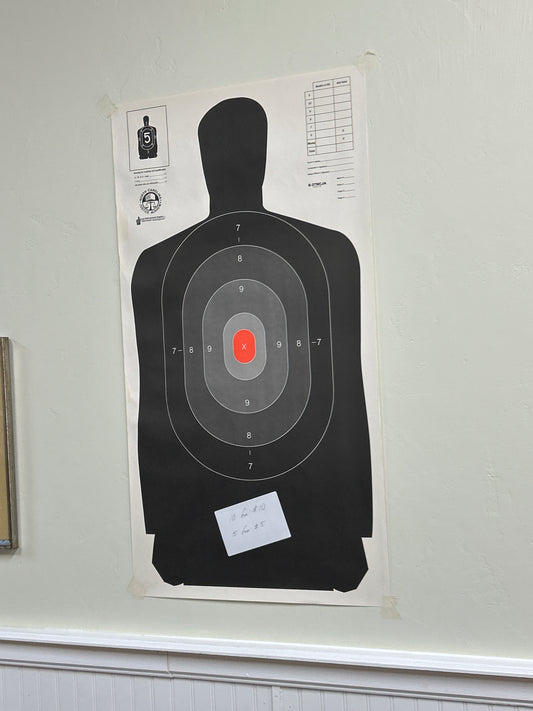 Silhouettes Targets 10pc