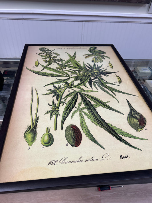 Pot Poster