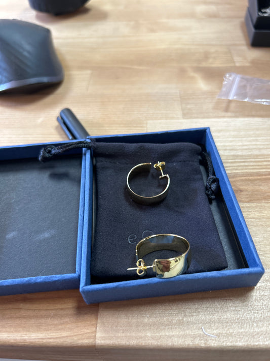 Earrings Equis
