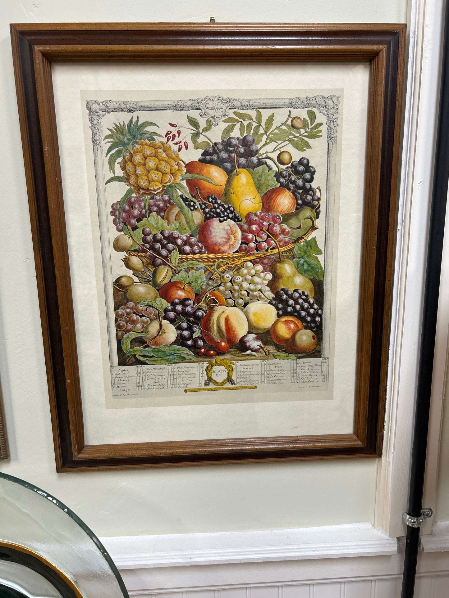 October, From Twelve Months Of Fruits, By Robert Furber
