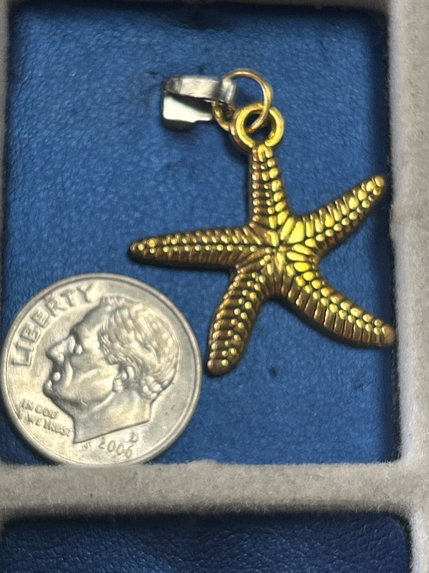 Charm (large starfish)