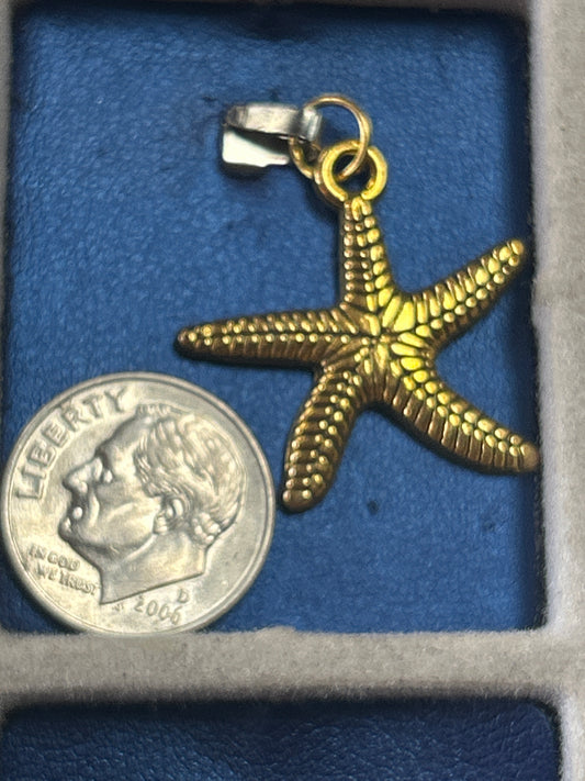 Charm (large starfish)