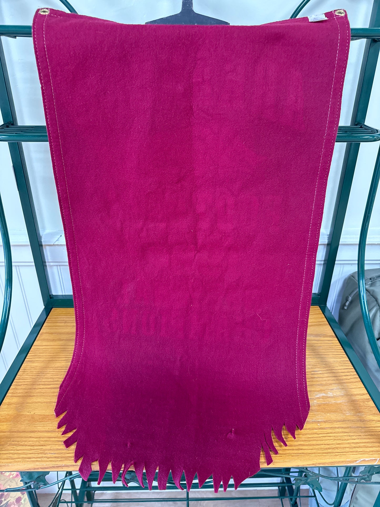 Ultra Rare Vintage 1964 Arkansas Razorback Football National Champions Banner Collegiate Pacific Made in USA