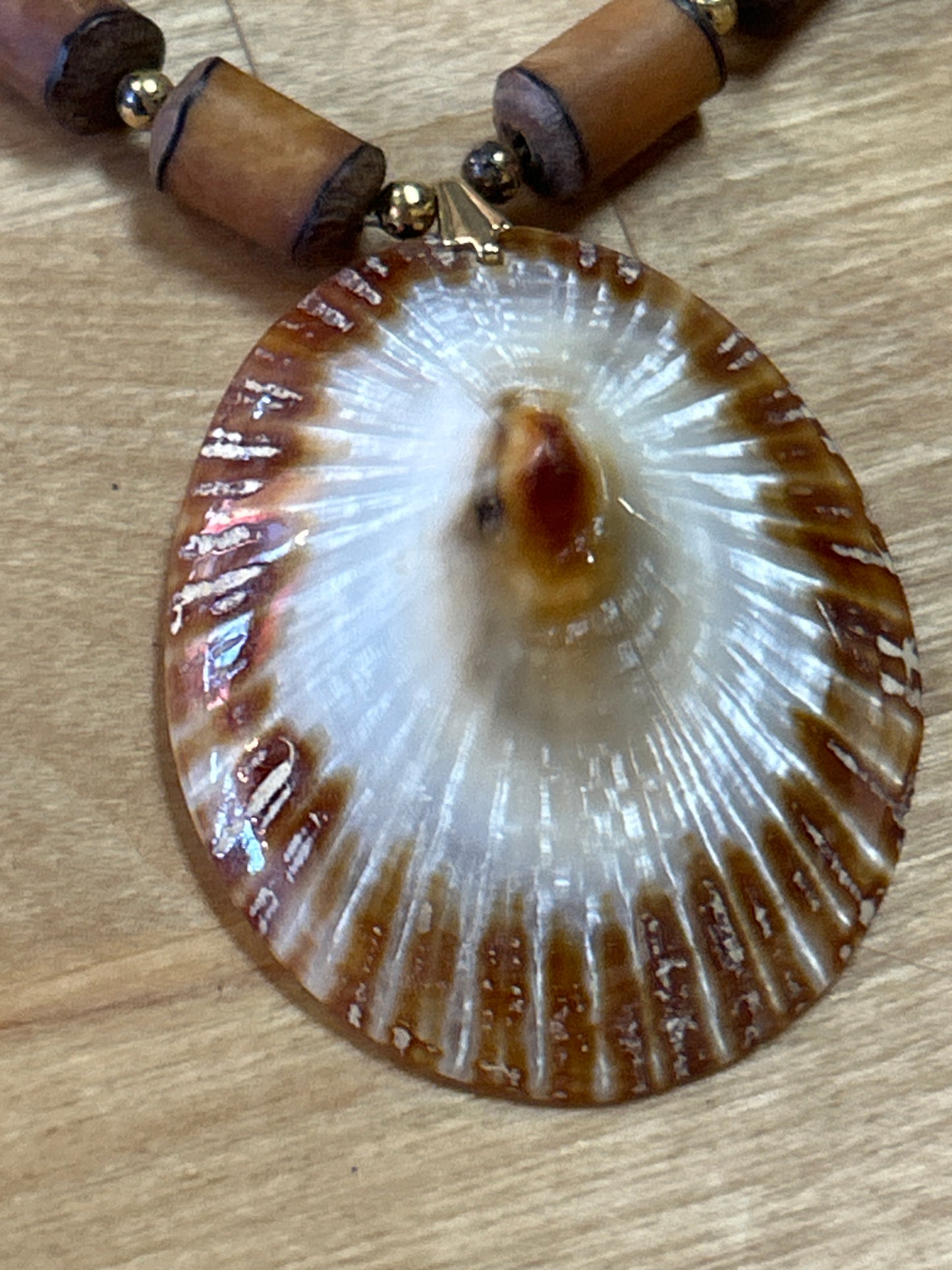 Shell Pendant Necklace Unique (preowned)