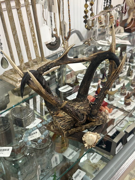 Antler Display or Stand (resin but hard to tell) 8” tall