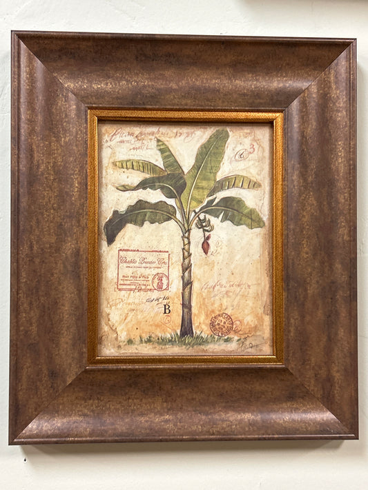 Print by Chad Barrett framed palm #3