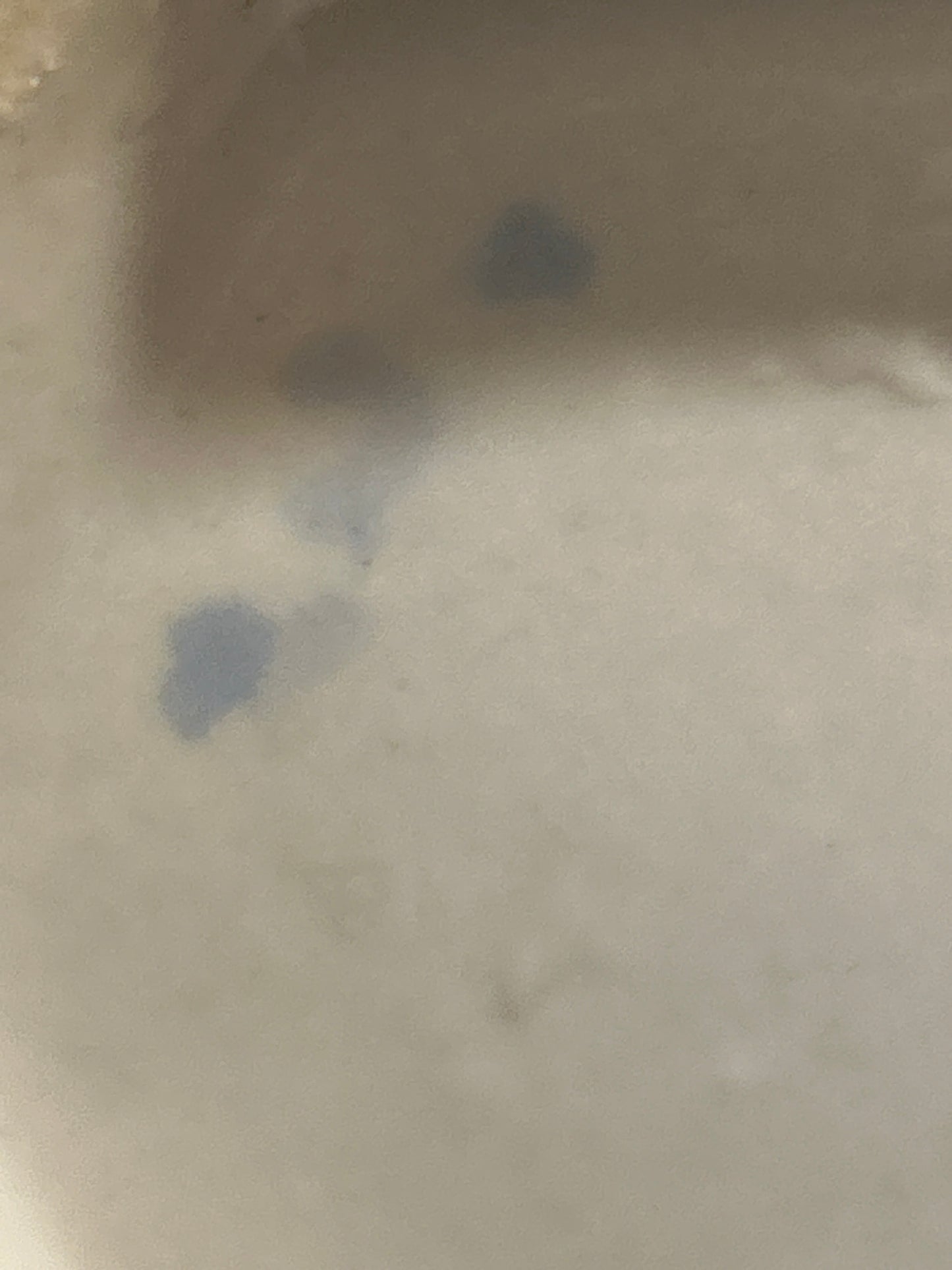Blue and white Vase 14”