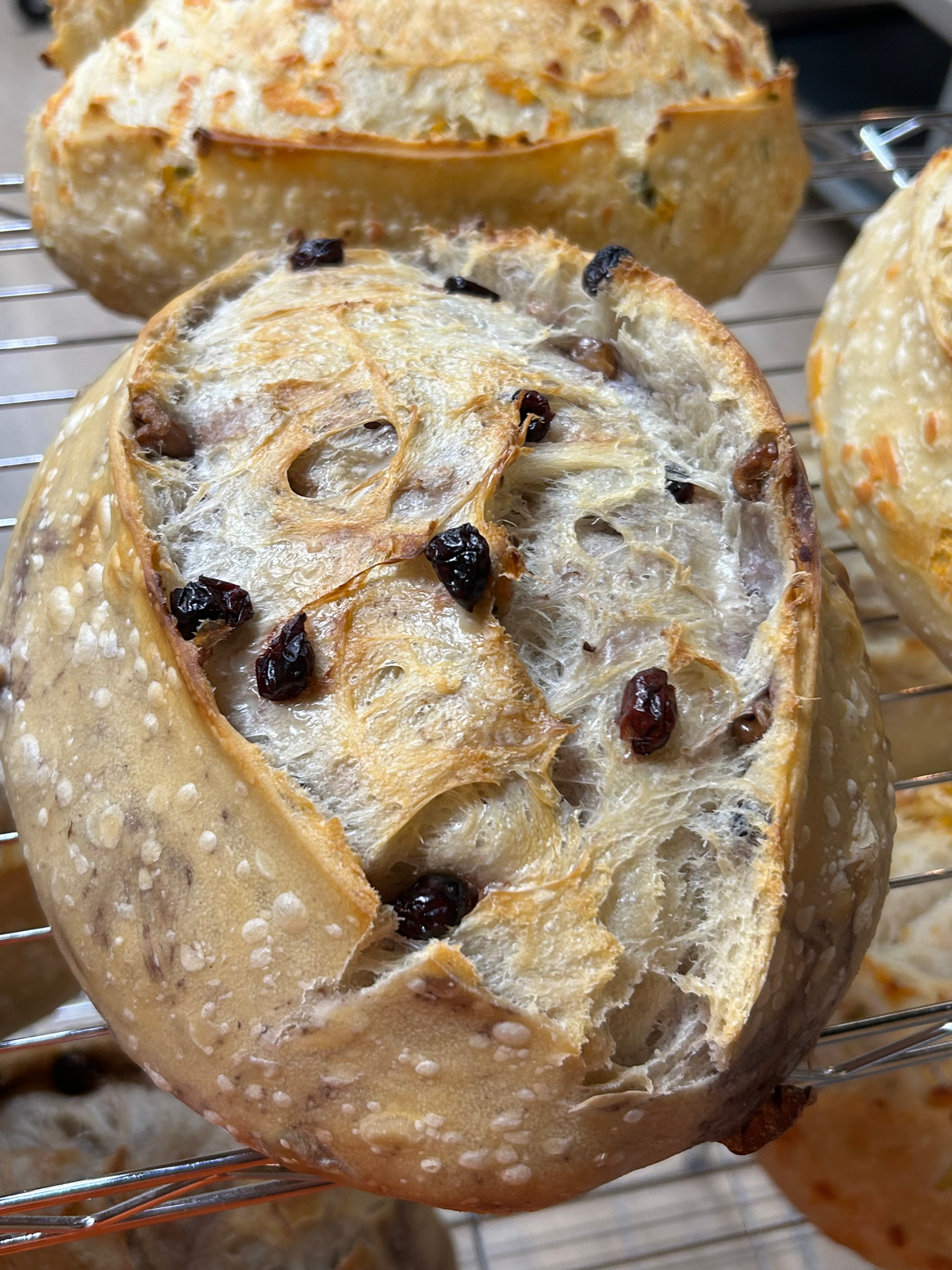 Raisin-Pecan Sourdough Loaf